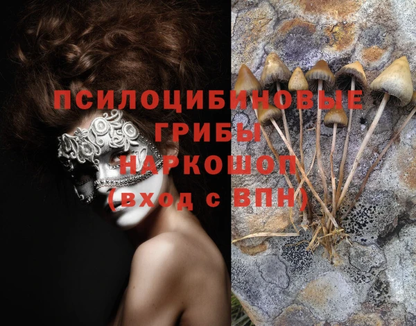 Альфа ПВП Нея