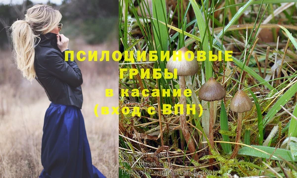 Альфа ПВП Нея