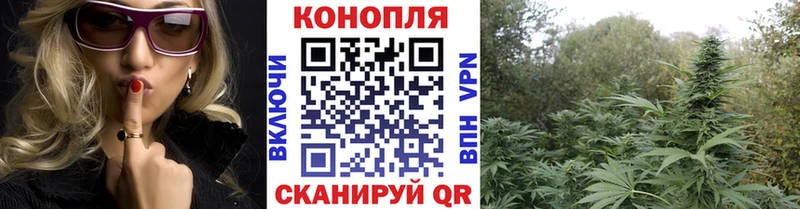 Купить закладки  Осинники  Бошки Шишки MAZAR 